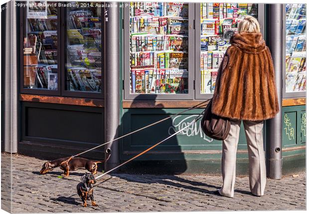  Reading the Morning Papers Canvas Print by David Bradbury