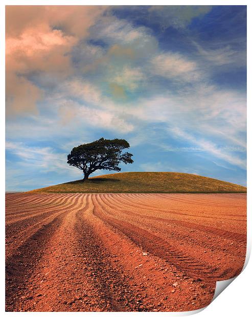  A solitary Tree on a hill near a Ploughed field Print by Mal Bray