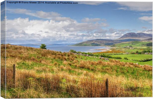  The Isle of Arran Canvas Print by Diana Mower