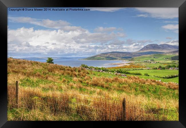  The Isle of Arran Framed Print by Diana Mower