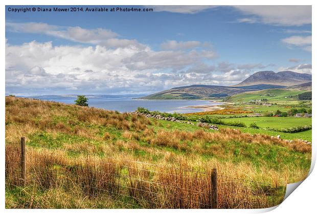  The Isle of Arran Print by Diana Mower