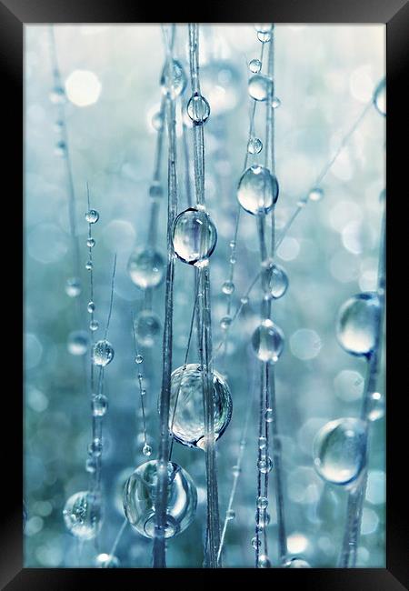  Blue Grass Drops II Framed Print by Sharon Johnstone