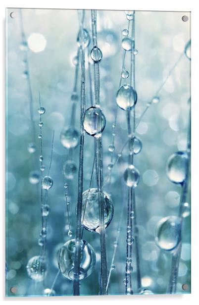  Blue Grass Drops II Acrylic by Sharon Johnstone