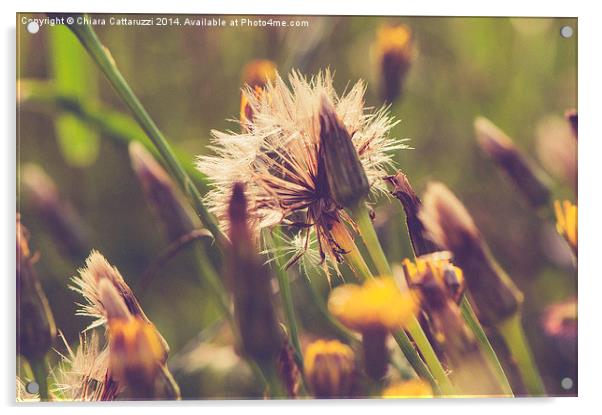  Summer nature Acrylic by Chiara Cattaruzzi