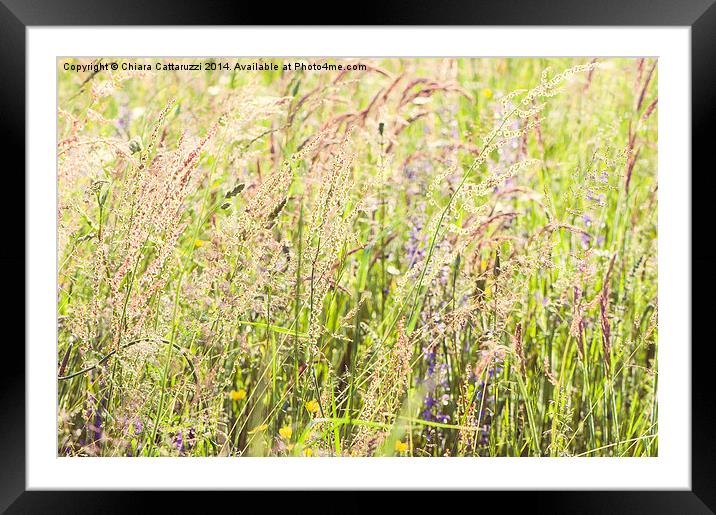 Countryside nature  Framed Mounted Print by Chiara Cattaruzzi