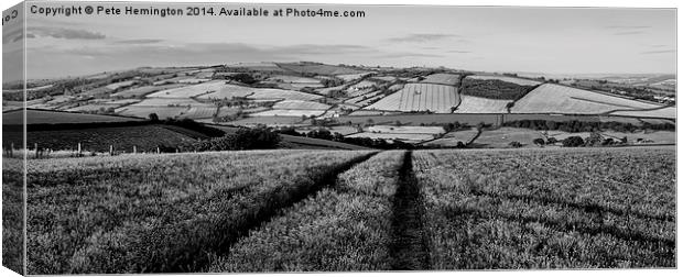 Exe valley in Devon Canvas Print by Pete Hemington