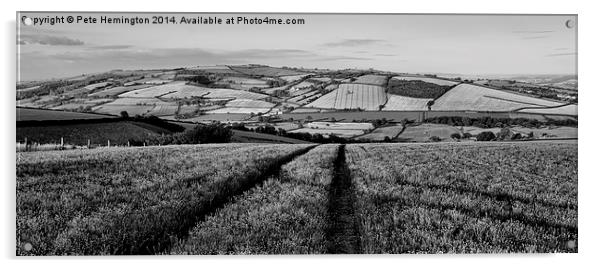 Exe valley in Devon Acrylic by Pete Hemington