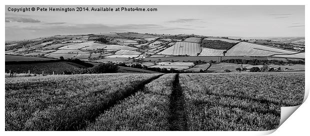 Exe valley in Devon Print by Pete Hemington