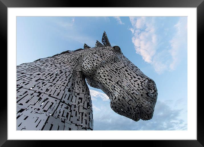  kelpies Framed Mounted Print by Northeast Images