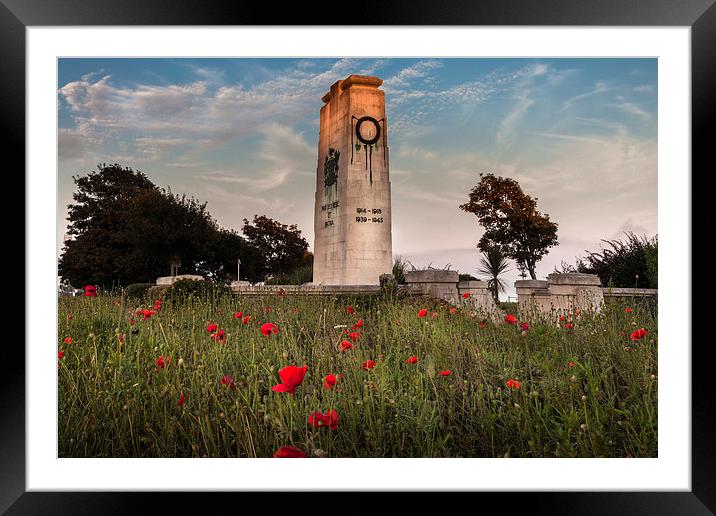  Swansea cenotaph Framed Mounted Print by Leighton Collins