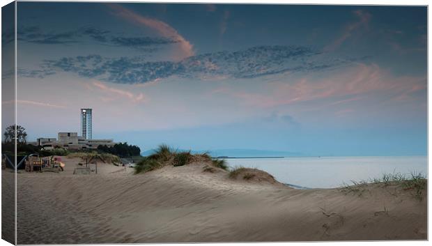  Swansea bay sand dunes Canvas Print by Leighton Collins