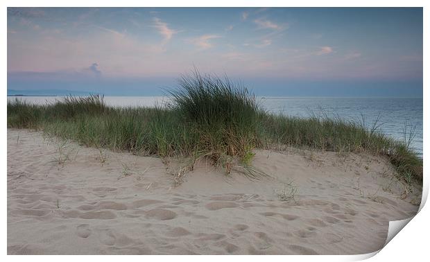  Swansea bay grass and sand dunes Print by Leighton Collins