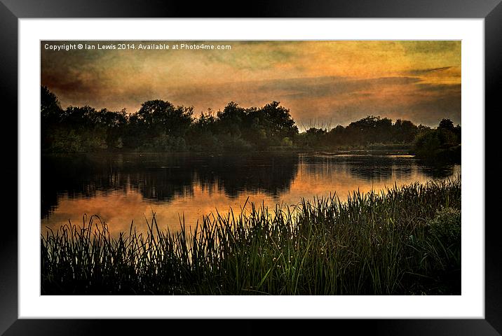  Evening Light  Framed Mounted Print by Ian Lewis