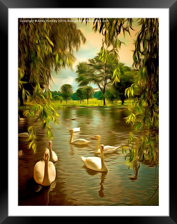  Swan Lake Framed Mounted Print by Andy Huntley