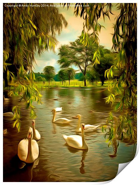  Swan Lake Print by Andy Huntley