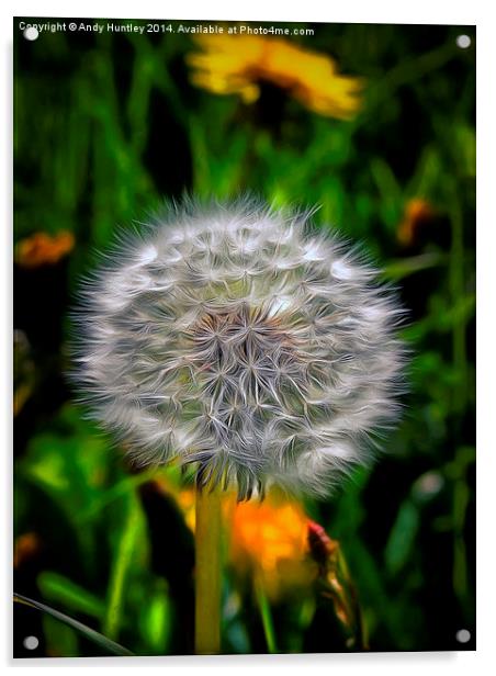  Dandelion in Spring Acrylic by Andy Huntley