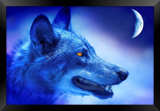  Blue Wolf Moon Fantasy Framed Print by Mal Bray