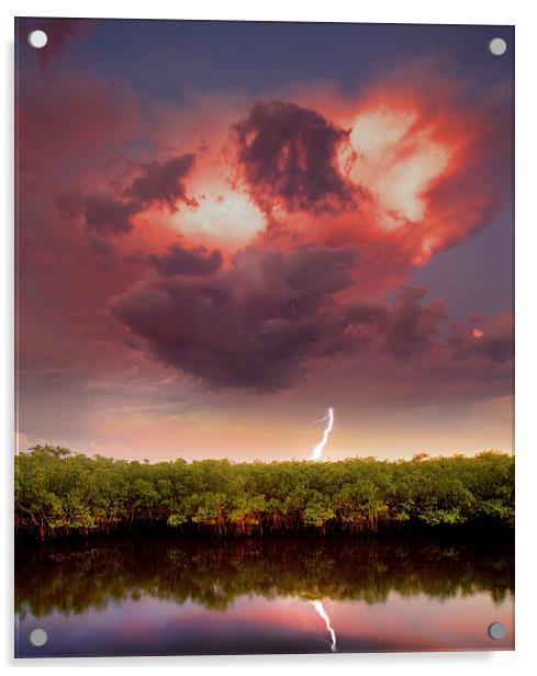  Mangrove Storm with lightning reflected. Acrylic by Mal Bray