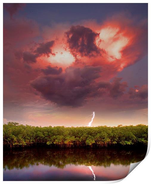  Mangrove Storm with lightning reflected. Print by Mal Bray