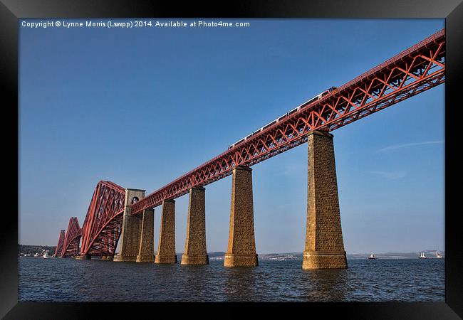  The Forth Rail Bridge Framed Print by Lynne Morris (Lswpp)