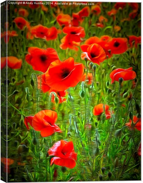  Poppies Canvas Print by Andy Huntley