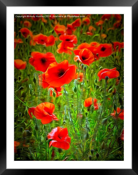  Poppies Framed Mounted Print by Andy Huntley