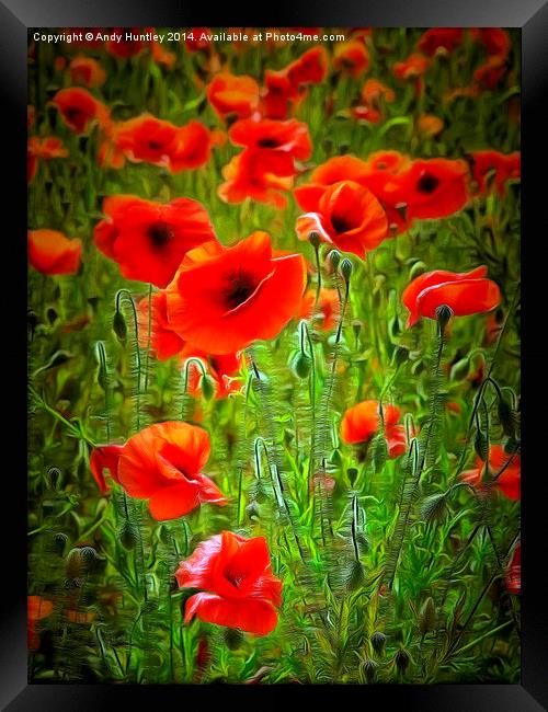  Poppies Framed Print by Andy Huntley