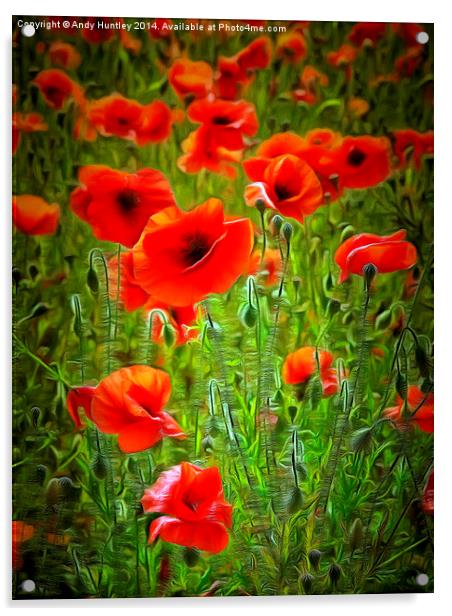  Poppies Acrylic by Andy Huntley