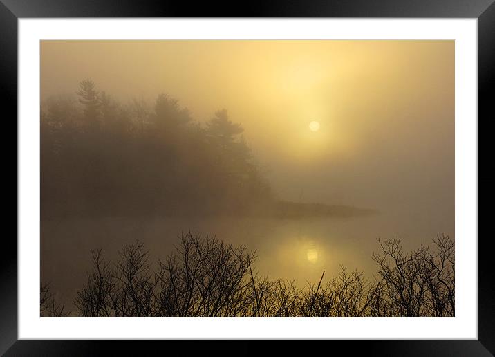  Misty Dawn Framed Mounted Print by Shaun White