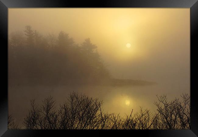  Misty Dawn Framed Print by Shaun White