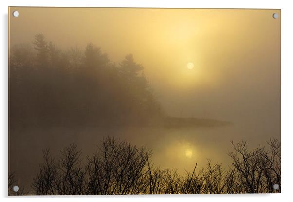  Misty Dawn Acrylic by Shaun White