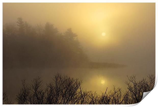  Misty Dawn Print by Shaun White