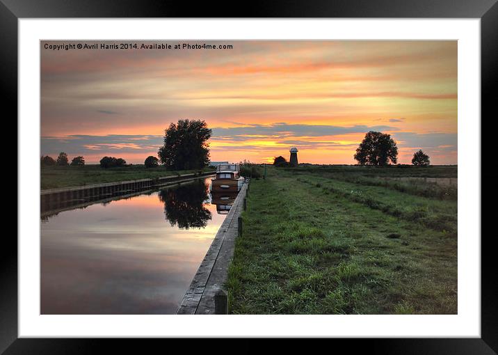  West Somerton Sunset Framed Mounted Print by Avril Harris
