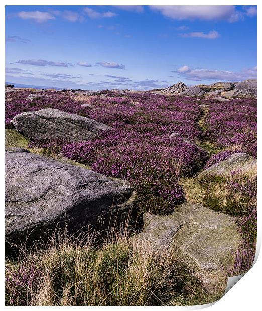  Heather Print by Laura Kenny