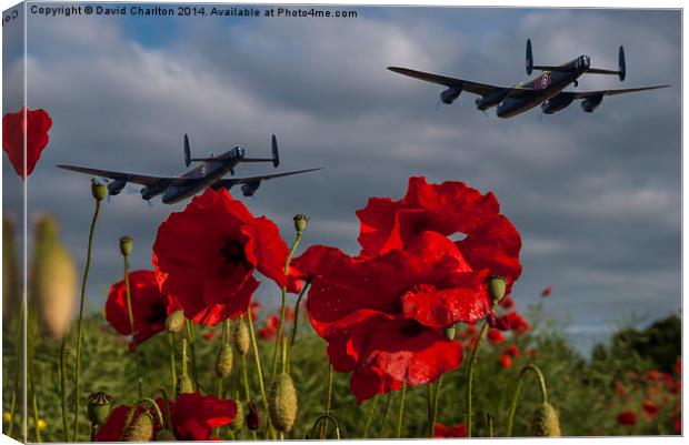  Lancaster Bombers over Poppy Field Canvas Print by David Charlton