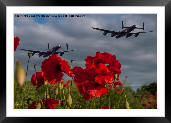  Lancaster Bombers over Poppy Field Framed Mounted Print by David Charlton