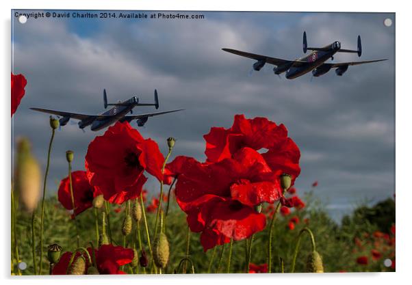  Lancaster Bombers over Poppy Field Acrylic by David Charlton