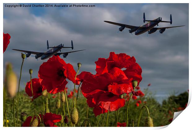  Lancaster Bombers over Poppy Field Print by David Charlton