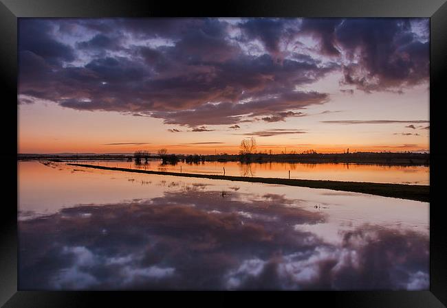  Flooded Levels in Somerset Framed Print by Bob Small