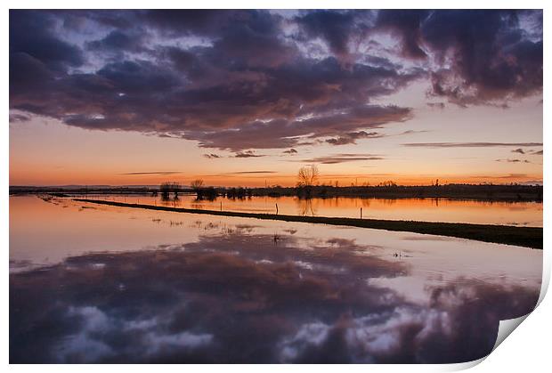  Flooded Levels in Somerset Print by Bob Small