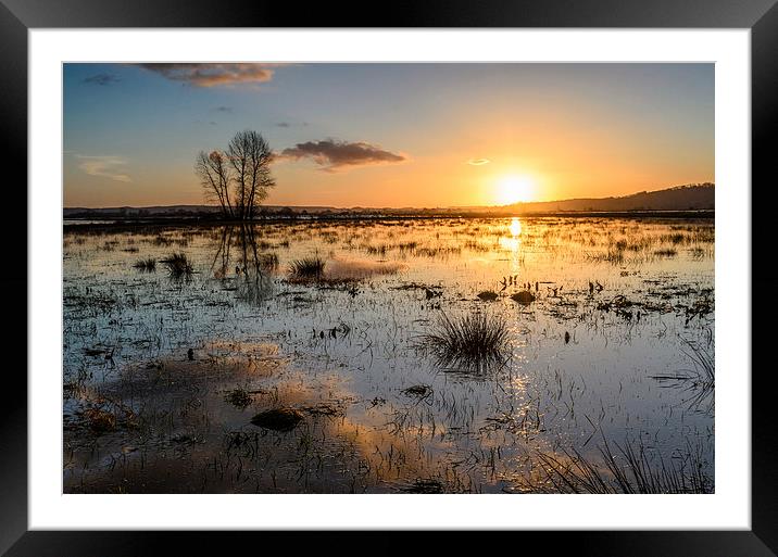 Flooded Levels in Somerset Framed Mounted Print by Bob Small