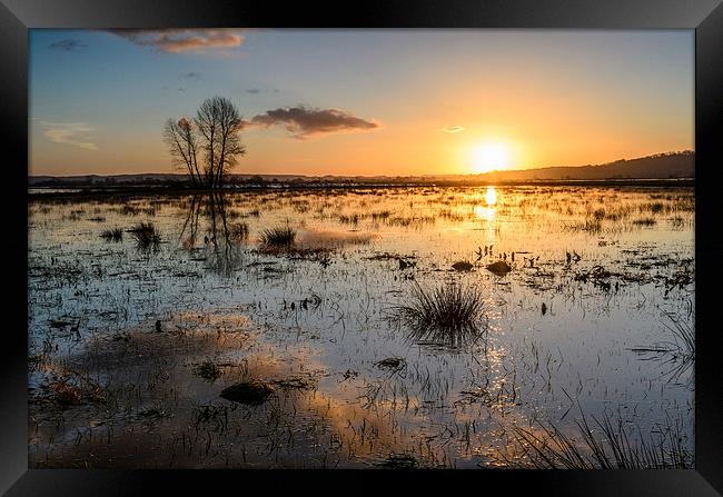 Flooded Levels in Somerset Framed Print by Bob Small