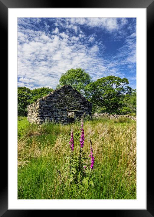 Countryside Ruin  Framed Mounted Print by Ian Mitchell
