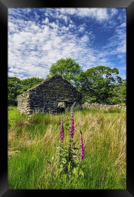 Countryside Ruin  Framed Print by Ian Mitchell