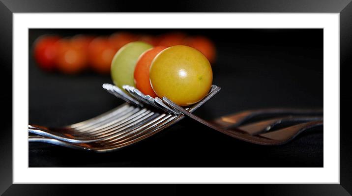  tomatoes Framed Mounted Print by sue davies