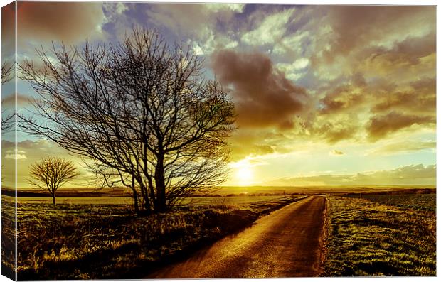  Into the Sunset Canvas Print by Lee Wilson
