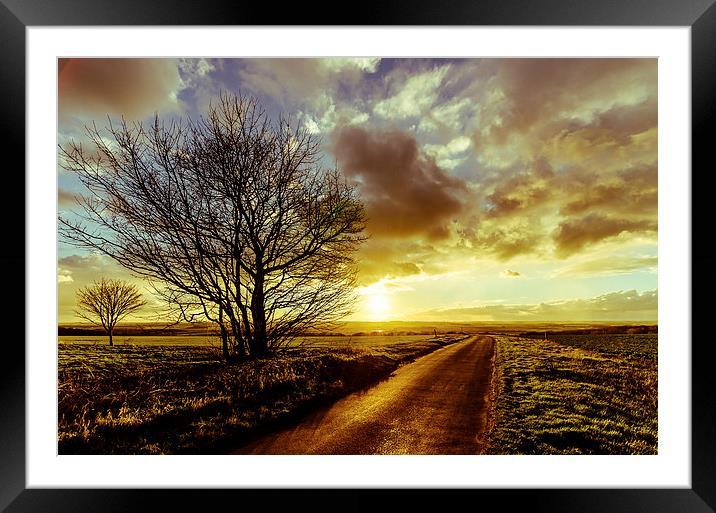  Into the Sunset Framed Mounted Print by Lee Wilson