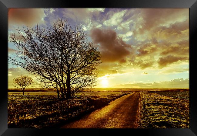  Into the Sunset Framed Print by Lee Wilson