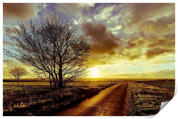  Into the Sunset Print by Lee Wilson