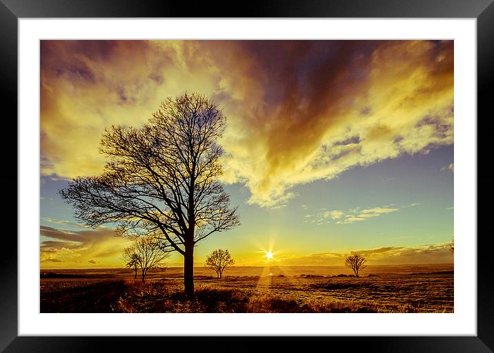  Setting Sun Framed Mounted Print by Lee Wilson